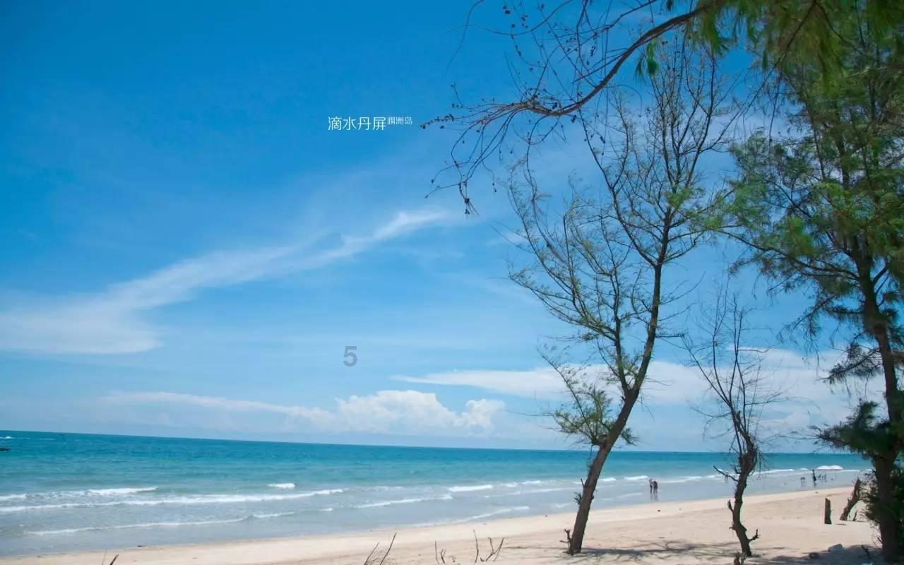 汪缘堂:什么是体用关系?
